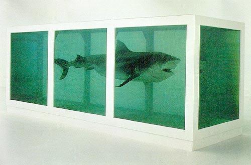 The Physical Impossibility of Death in the Mind of Someone Living, by Damien Hirst
