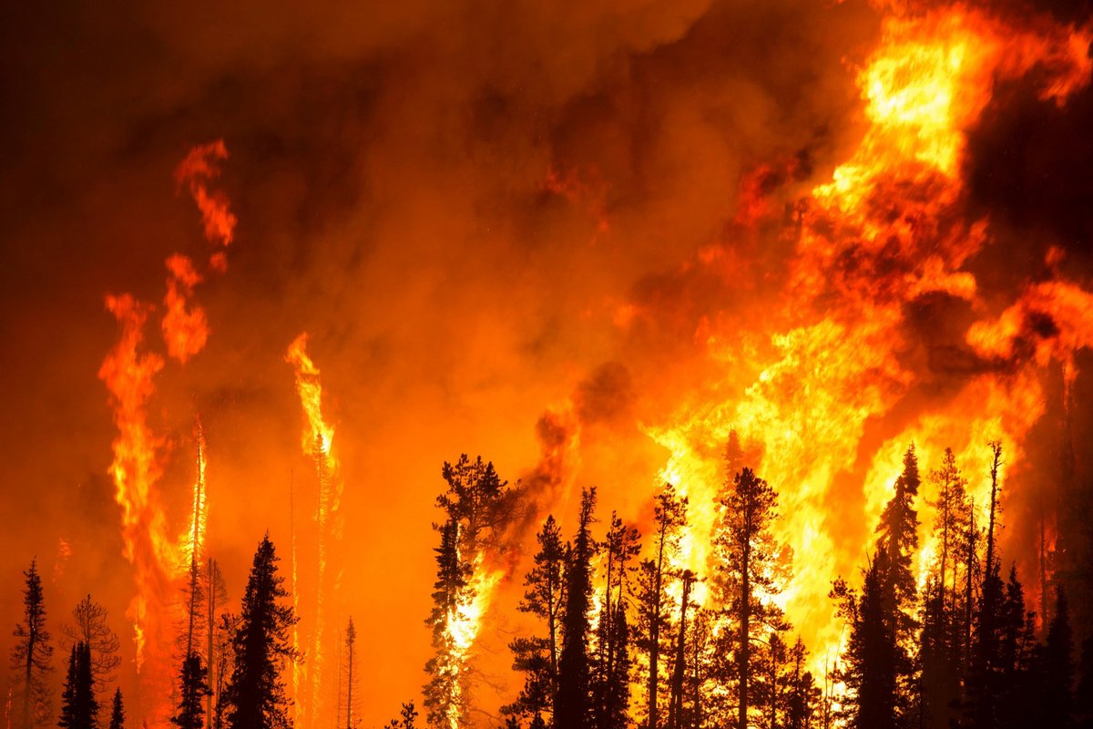 Climate change wildfire 2 Image public domain
