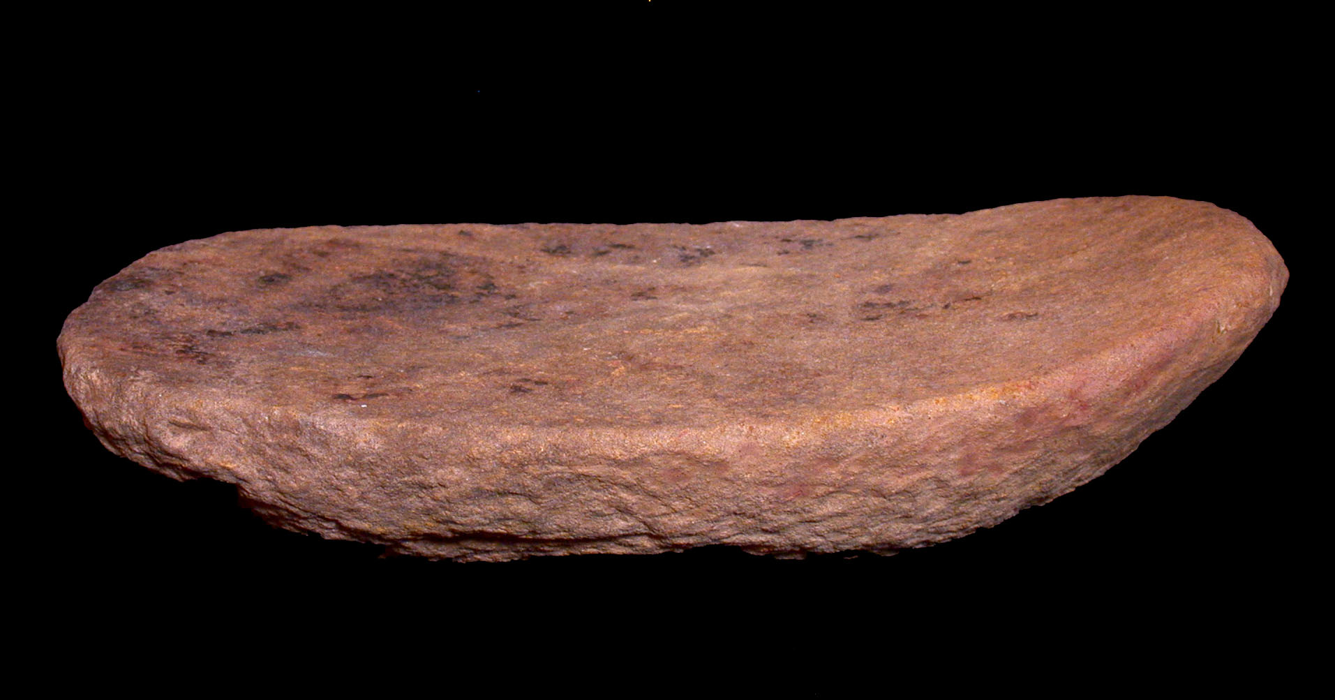 来自阿布·胡赖拉(Abu Hureyra)的一块磨石，它用于研磨世界上最古老的驯化谷 物。//图片来源：The Portable Antiquties Scheme/ The Trustees of the Brit- ish Museum