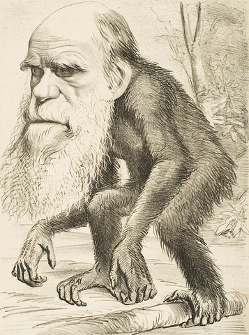 Editorial cartoon depicting Charles Darwin as an ape 1871