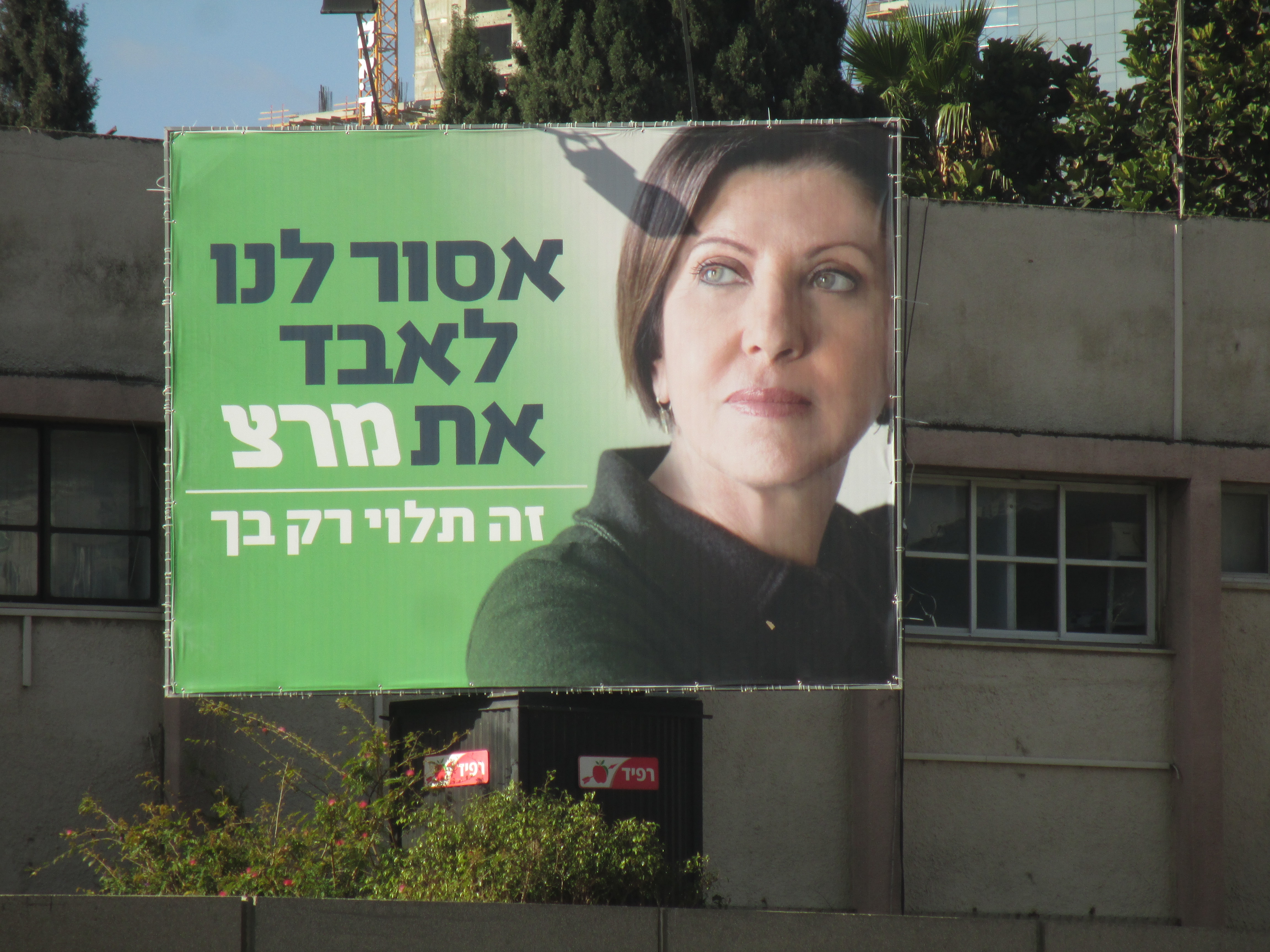 Israeli Meretz Image Dr Avishai Teicher